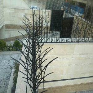 حفاظ نیزار در شیراز