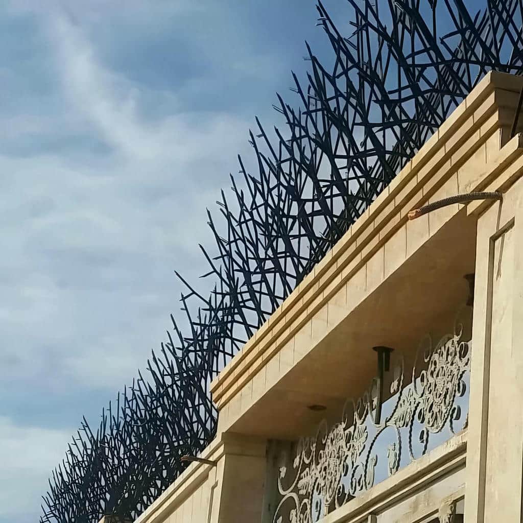 fence-wall-protection-deer-antler-spear-abd – Copy حفاظ بوته خار مدرن در شیراز