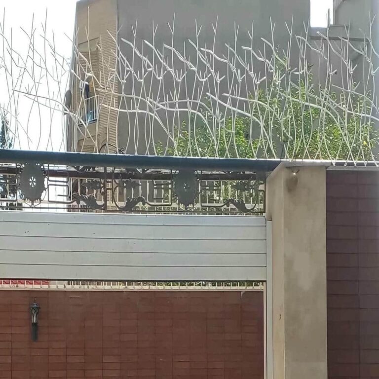 عکس مدل حفاظ شاخ گوزنی در شیراز