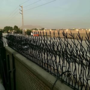 حفاظ بوته ای تراکم 67 در شیراز