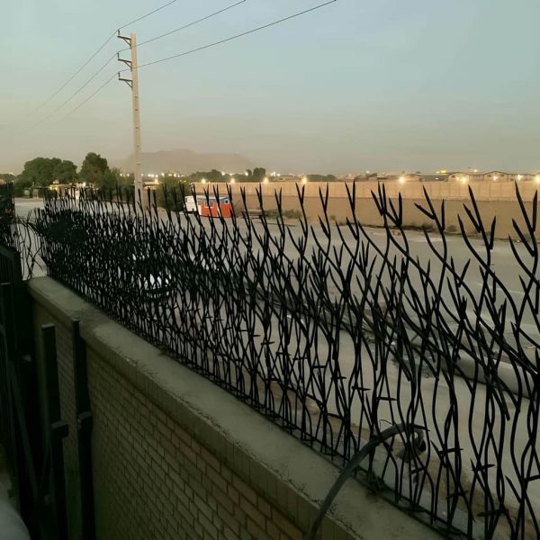 حفاظ بوته ای تراکم 67 در شیراز