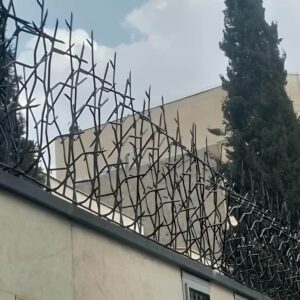 حفاظ شاخ گوزنی تراکم 22 اقتصادی در شیراز