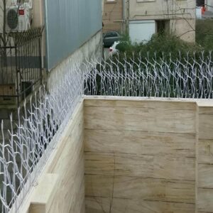 حفاظ شاخ گوزنی تراکم 34 در شیراز