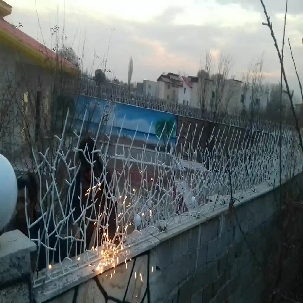 حفاظ ساختمان ایمن در شیراز