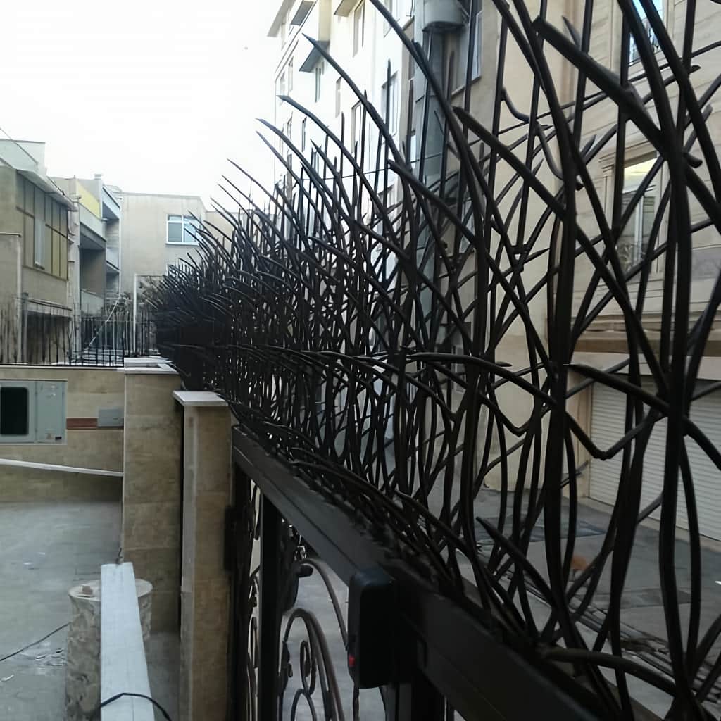 حفاظ دیوار باغ در شیراز