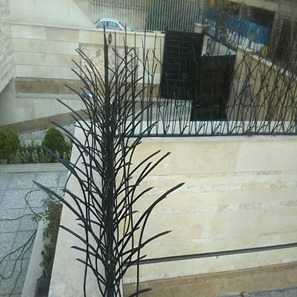 حفاظ نیزار در شیراز