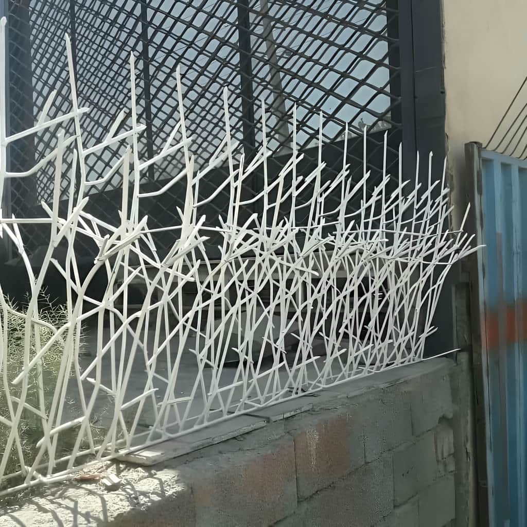 سفارش حفاظ دیوار کوتاه حیاط با تراکم متناسب در شیراز