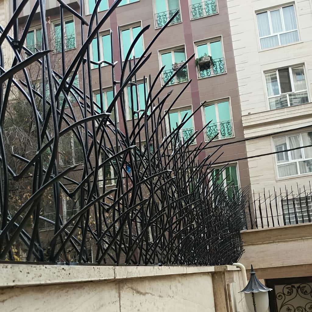 6 طرح حفاظ نیزار دیوار باغ در شیراز
