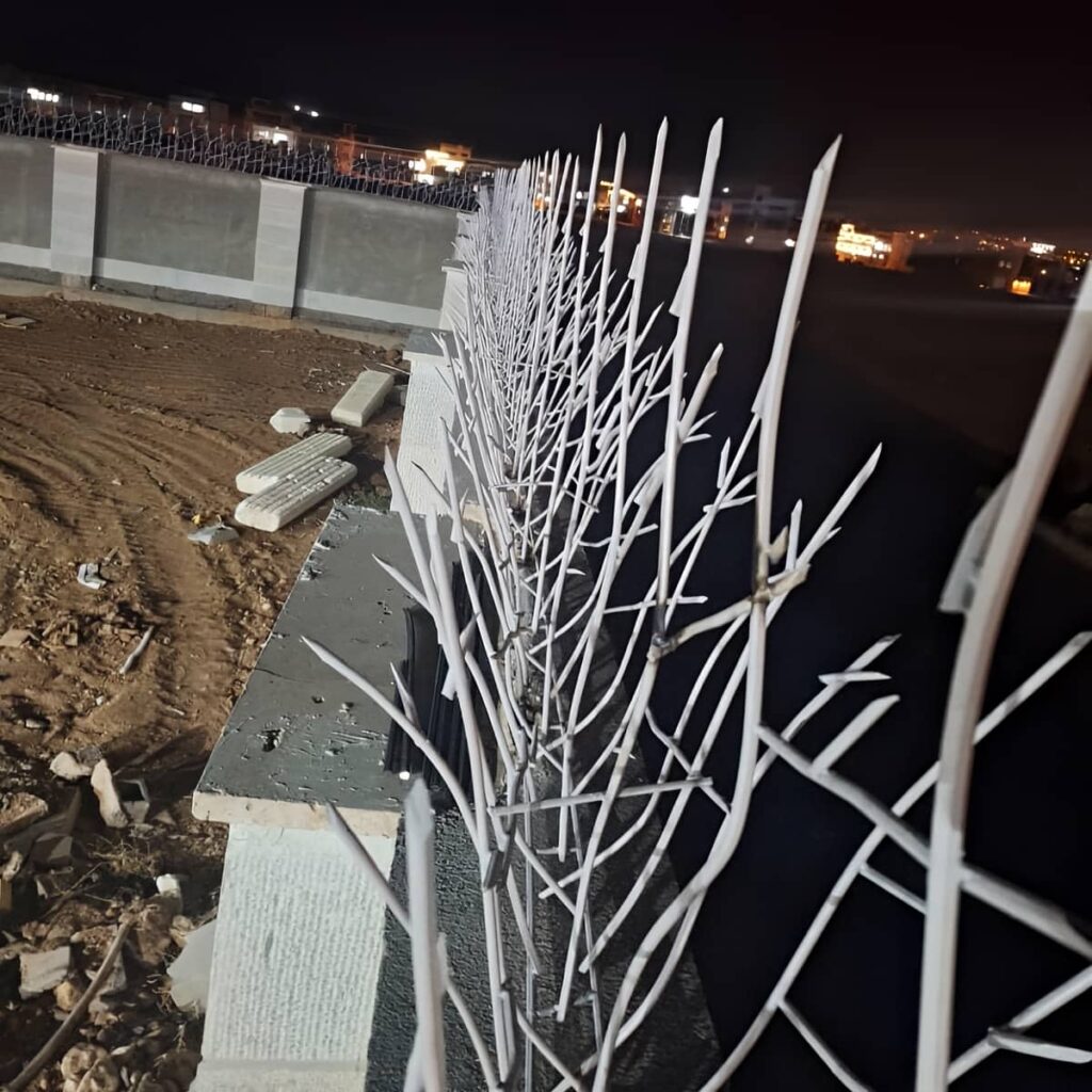 سفارش حفاظ شاخ گوزنی برای دیوار باغ با طرح متناسب با نما در شیراز