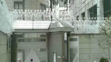 حفاظ نخل مرداب شیراز با فرم شاخه ای فلزی